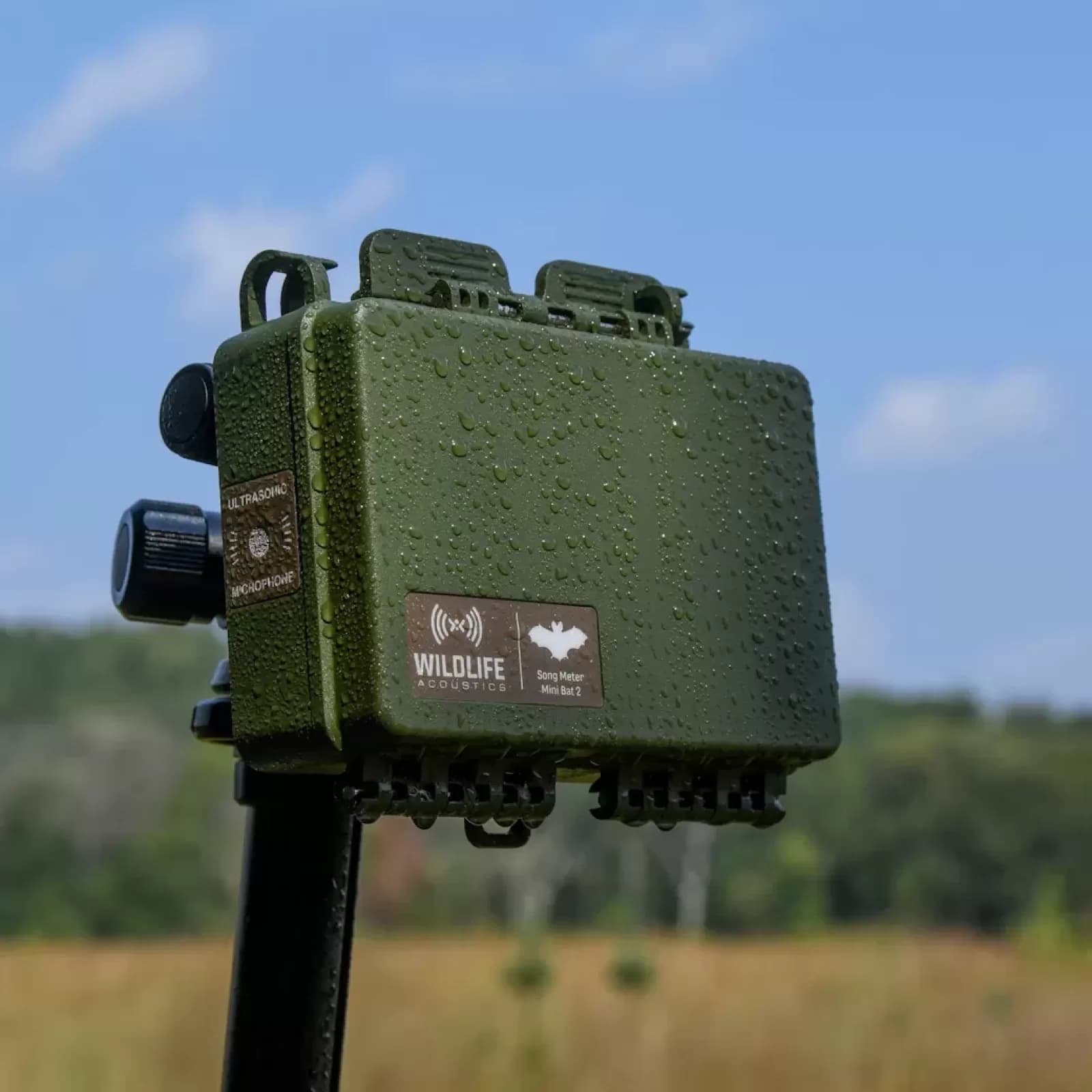 Song Meter Mini Bat 2 AA (Wildlife Acoustics)